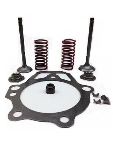 Generac Retainer Valve Kit GN 220 Part# 0D24890ESV