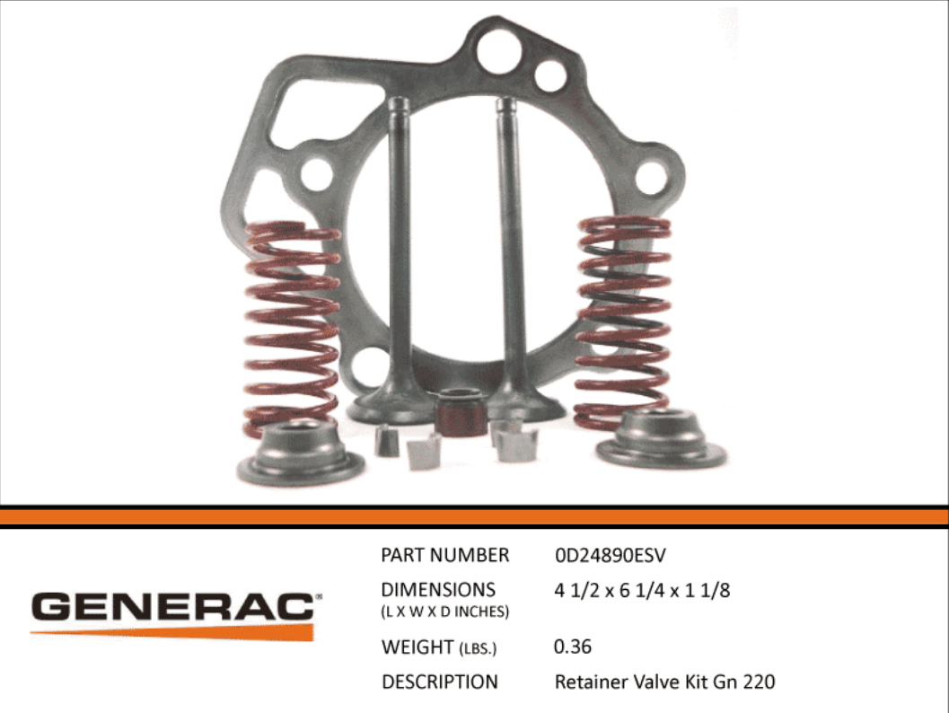 Generac Retainer Valve Kit GN 220 Part# 0D24890ESV