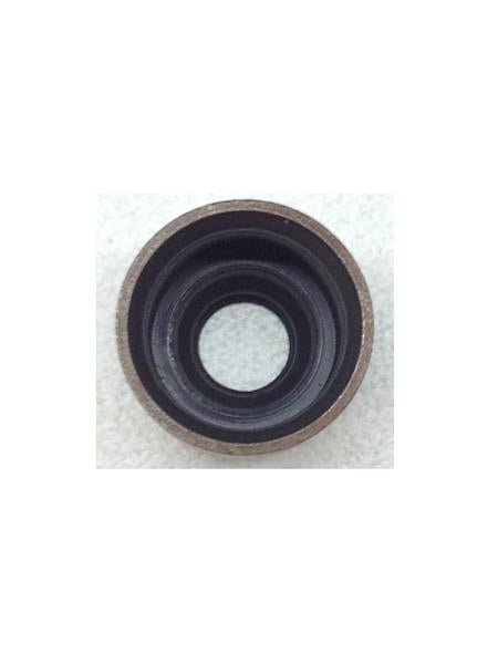 Generac Valv Stem D7 Seal Part# 078672