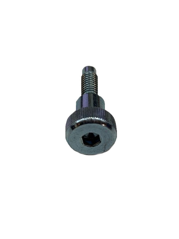 Generac Screw SHLDR(8MM)M6-1.0X21 Part# 0E9582