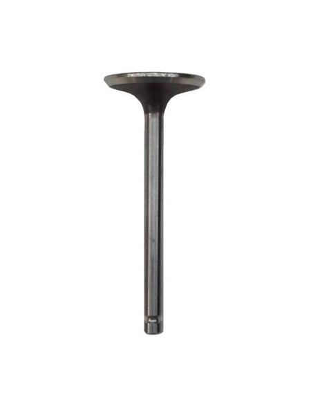 Generac Intake Valve Part# 0C2229